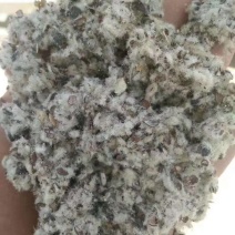 湖北湖南磨盘棉籽壳小壳长绒齿辊棉壳中壳中绒含粉含油棉壳