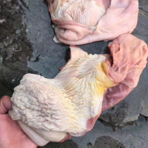 【驴肚】干净免洗颜色新鲜质量好出肉率高
