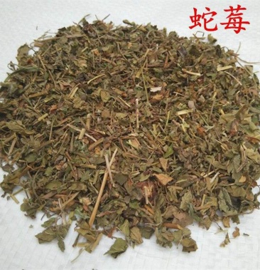 蛇莓常年批发供应冷背中草药蛇莓草