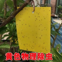 黄蓝一体粘虫黄板诱虫板双面蓝板果园大棚小飞虫茶园黏蓟马
