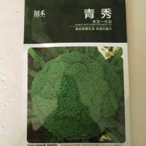 西兰花种子，进口青秀，绿剑三号绿剑四号耐热品种