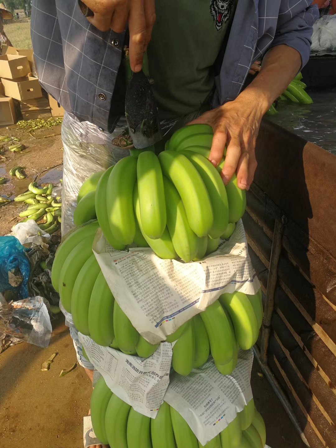[香蕉批发]一手货源,价格便宜,香蕉价格090元/斤 