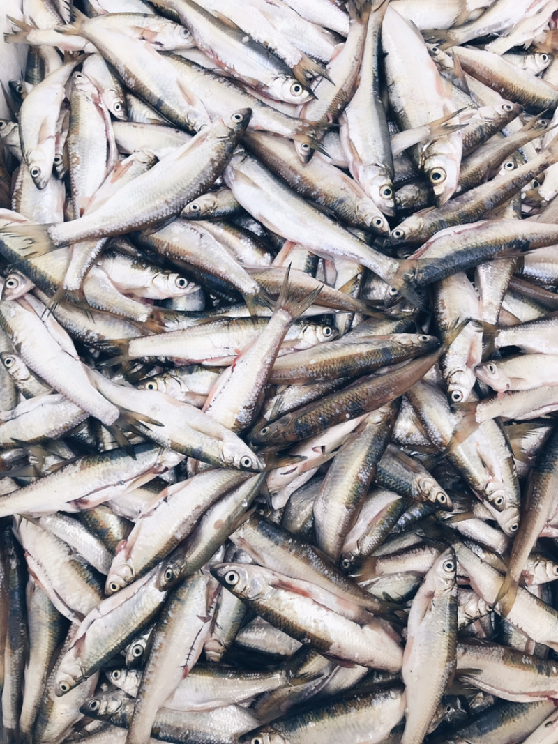 白条鱼川子餐条淡水小鱼油炸小鱼