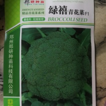 青花菜，西兰花，早熟性好，定植后60天左右收获。
