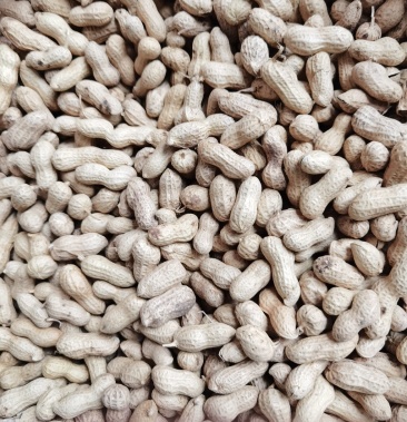 [花生批发]天府3号,小日本花生果.价格4.50元/斤 - 一亩田