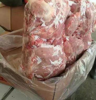 [批发]冷库大量供应母猪冻二号肉价格1500元/斤 