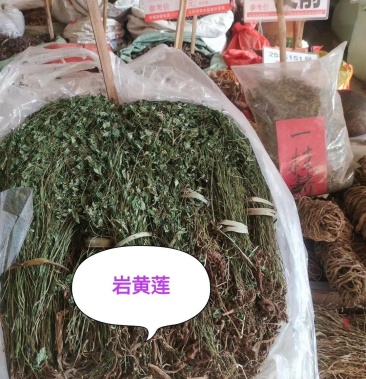 [岩黄连批发]岩黄莲 一斤起售,量大优惠价格130.00元/斤 - 一亩田