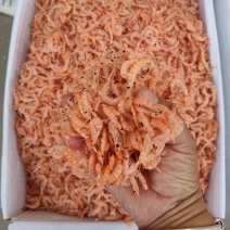 鳞虾皮，个大肉厚，可视频看货，产地直供