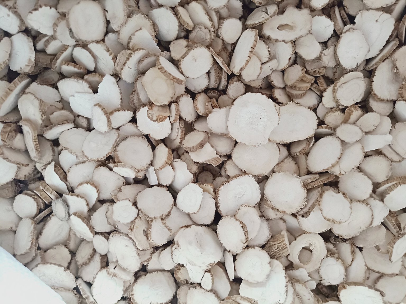 左侧为淡绿色至黄褐色的槐米花蕾,颗粒细小,表面有细密绒毛;右侧为类白色至淡黄棕色的白芷切片,呈不规则圆形或椭圆形,质地脆,断面可见放射状纹理,气味芳香 槐米与白芷原药材对比图
