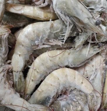 北海南美对白基围虾新鲜冷冻