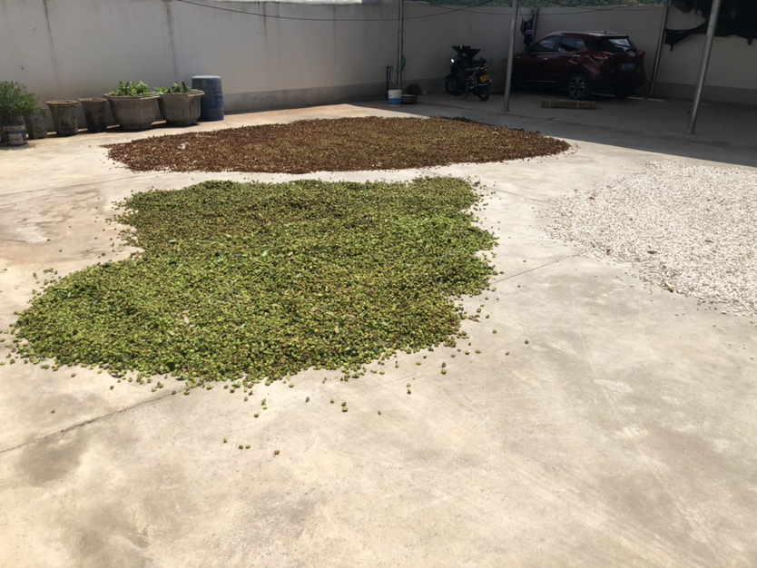 三线八角在实际生活中的应用