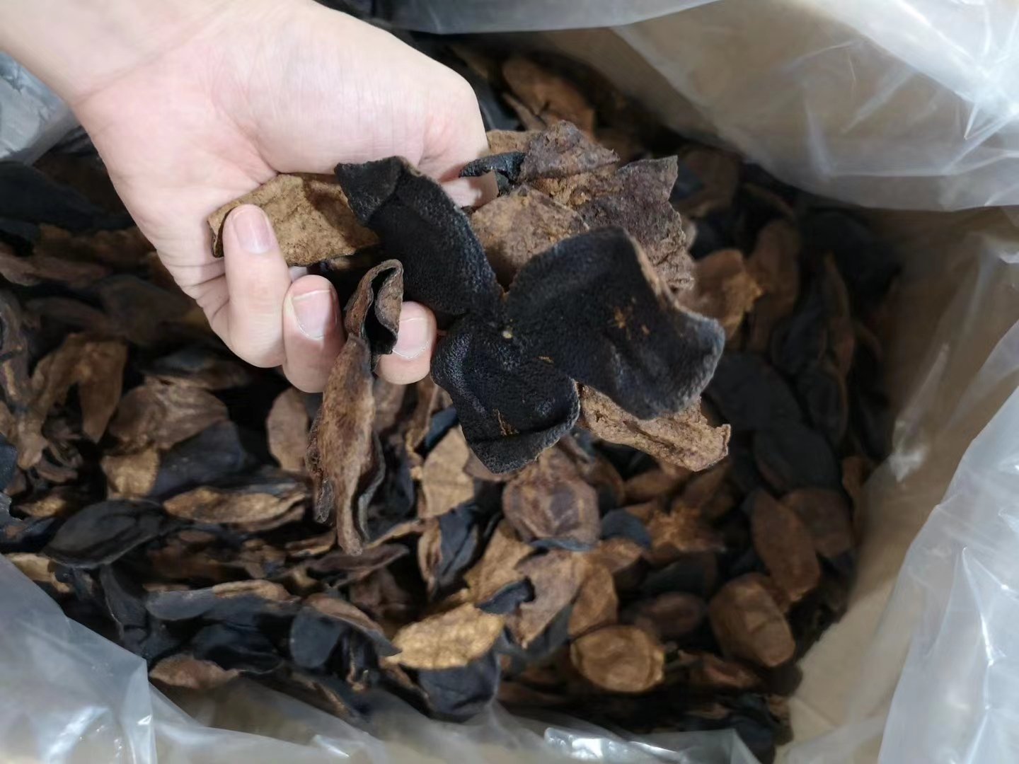 沙糖桔果皮泡水