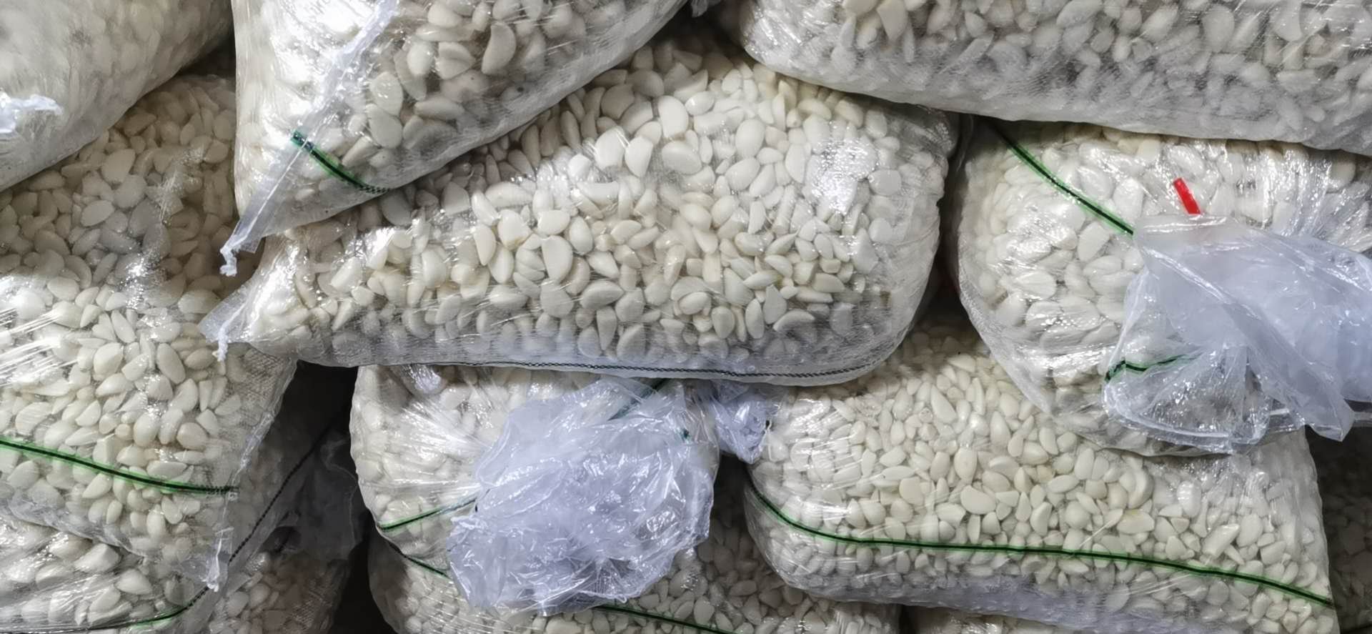 蒜米自动化加工流水线