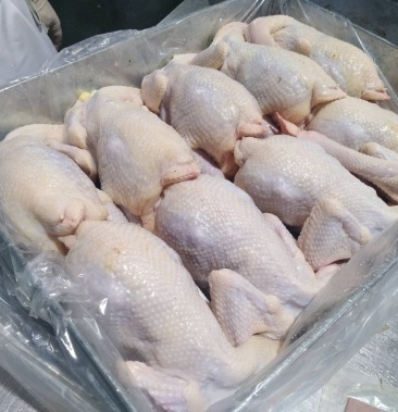 [白条鸡批发]老母鸡白条500日龄老母鸡价格16800.00元/吨 - 一亩田