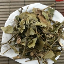 扶芳藤，常年批发供应冷背中药材扶芳藤，量大从优货真价实