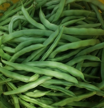 [芸豆批发]架豆角(芸豆)价格1.40元/斤 - 一亩田