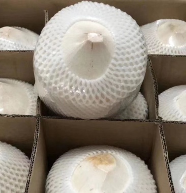 [椰子批发]椰青价格3.00元/个 - 一亩田