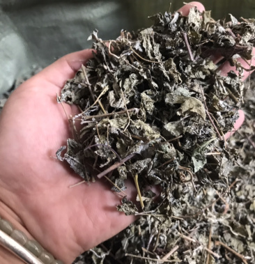 溪黄草白藤霉茶野生凉茶溪黄草中药材新货