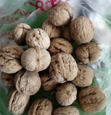 秦岭北丽原生态薄皮核桃,皮薄鲜香.欢迎光临!