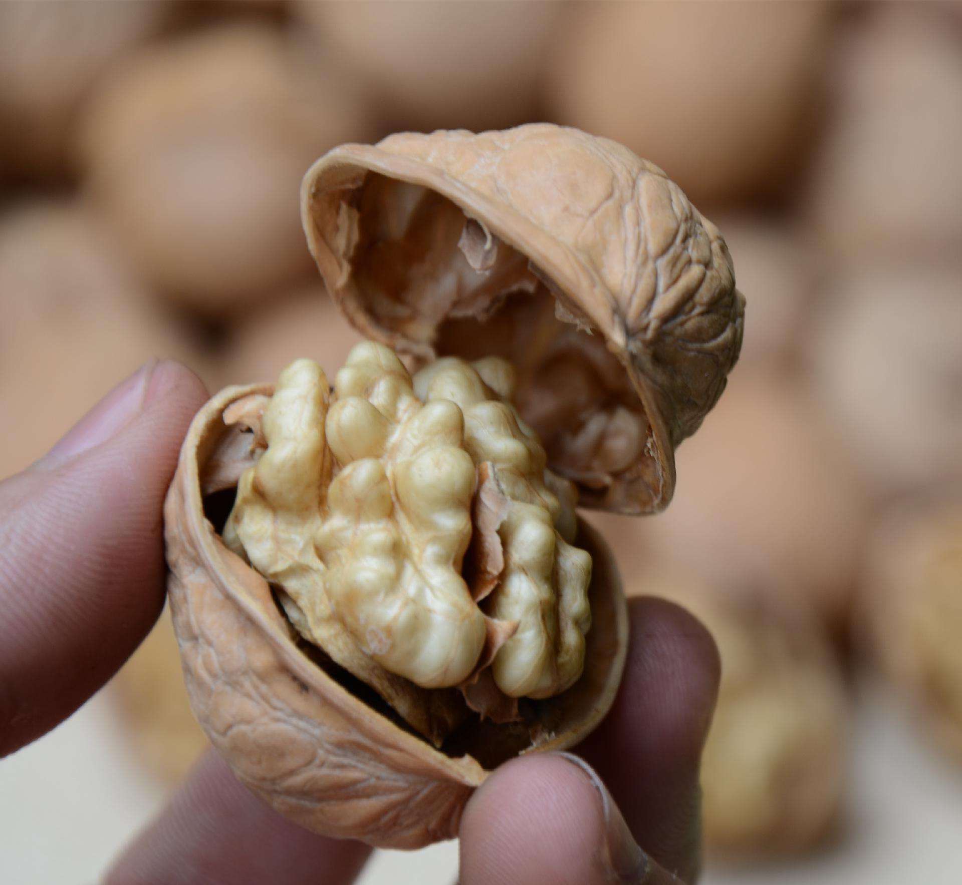 手工开壳展示薄皮特性