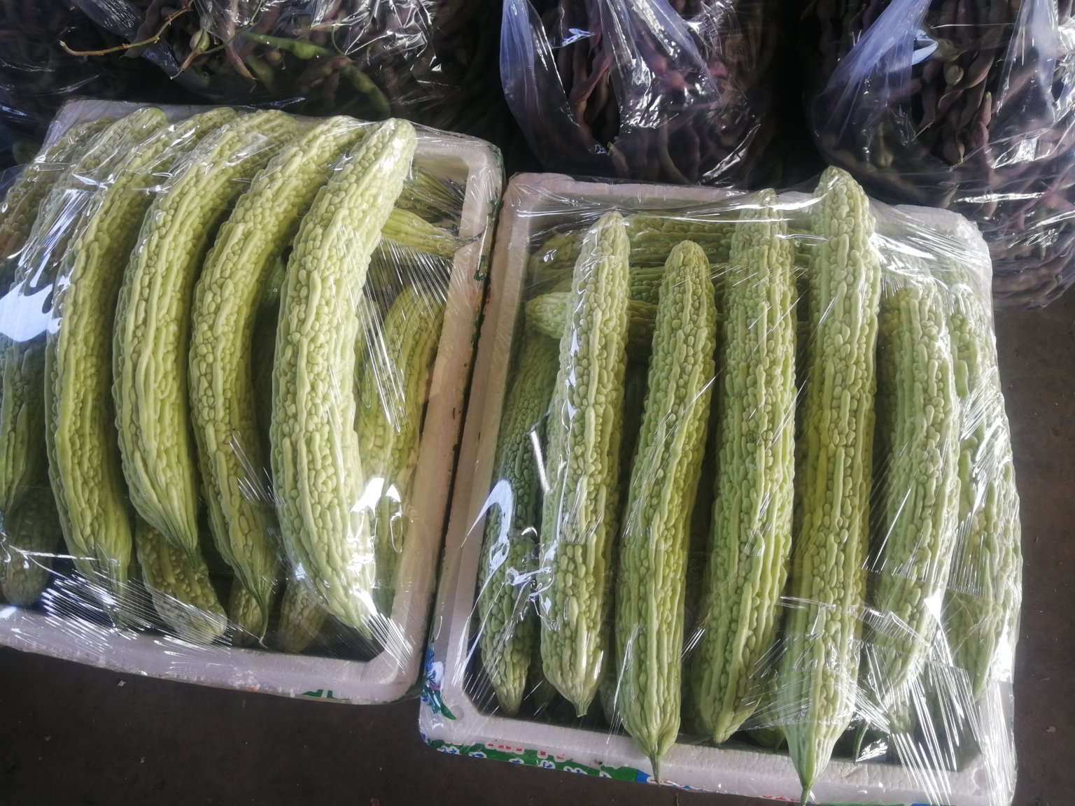 蒜薹苦瓜成品图