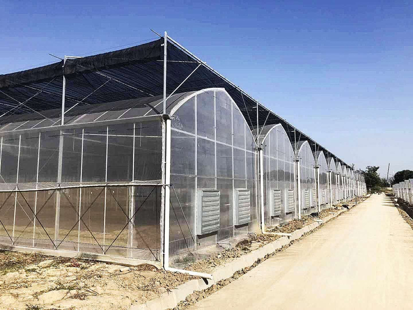 西红柿温室光照管理示意图