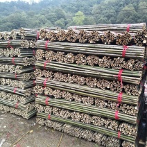 旗杆小种菜竹竿插地专用细条架黄瓜豆角室内外竹子隔断挡墙爬