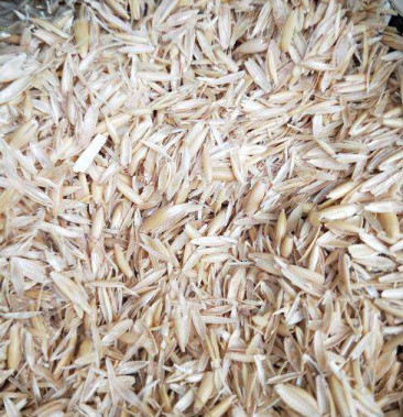 优质燕麦壳牛羊饲料进口澳洲燕麦厂家直销批发价