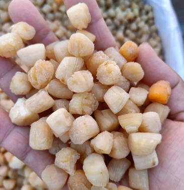 扇贝柱 干度十成 大量现货 批发不包邮