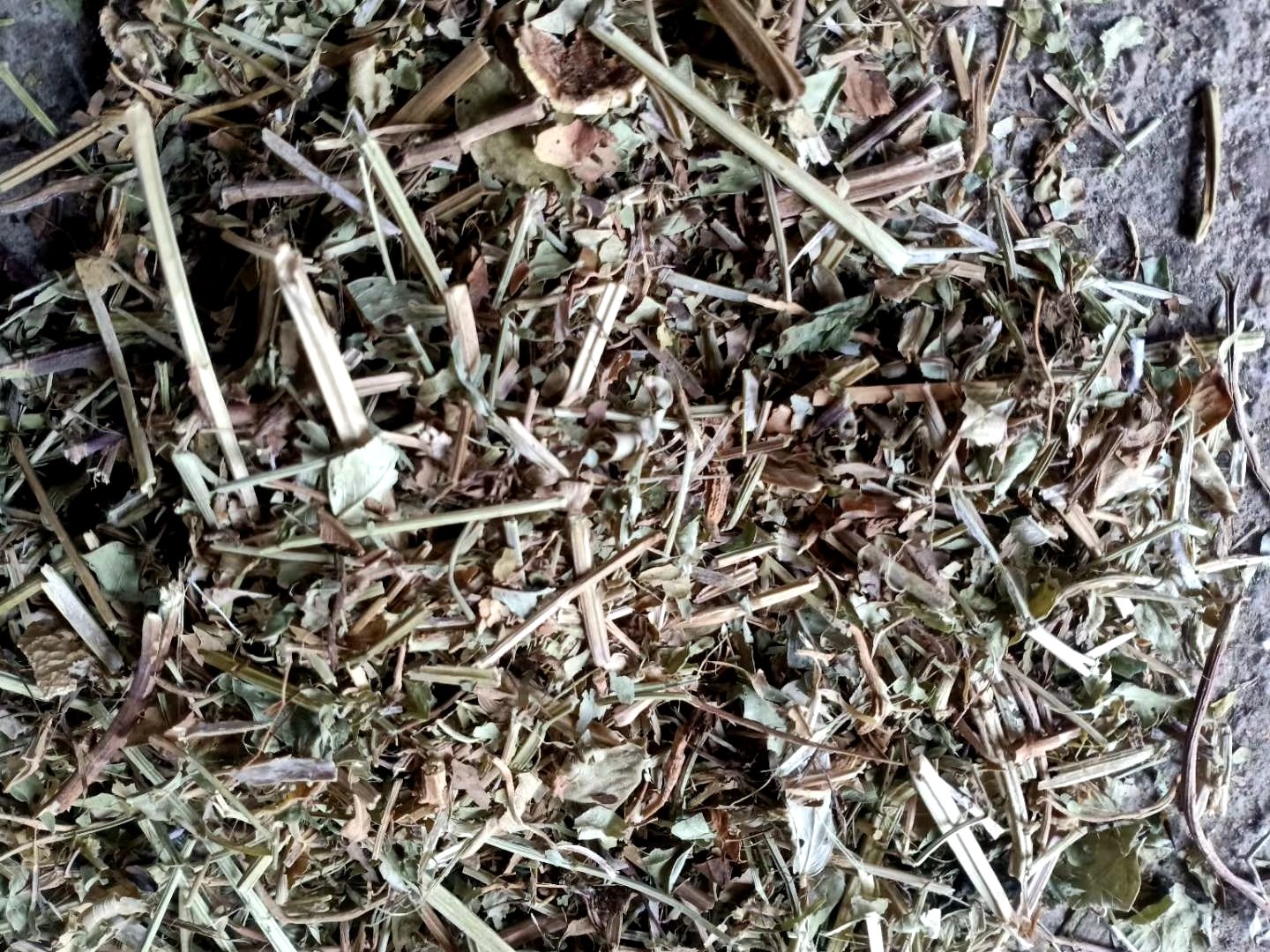 不同季节除草剂使用对比表