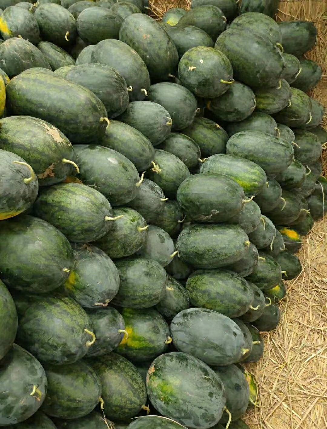 [黑美人西瓜批发]产地直销黑美人西瓜.配货便利.