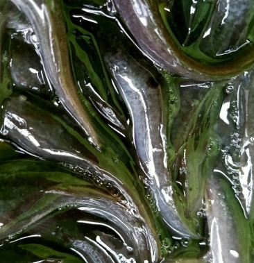 [胡子鲶苗批发]埃及鱼苗,埃及塘虱鱼苗,杂交埃及王鱼苗,苗场直销价格