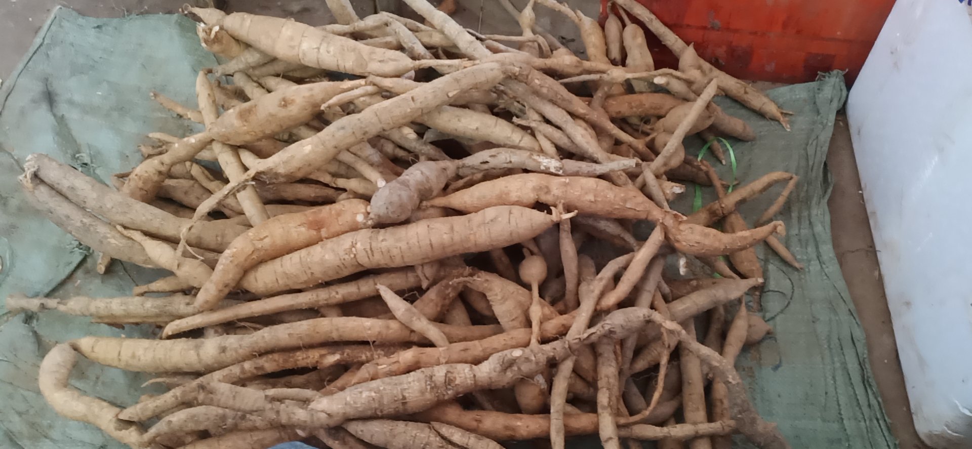 牛大力粉葛的市场选购场景