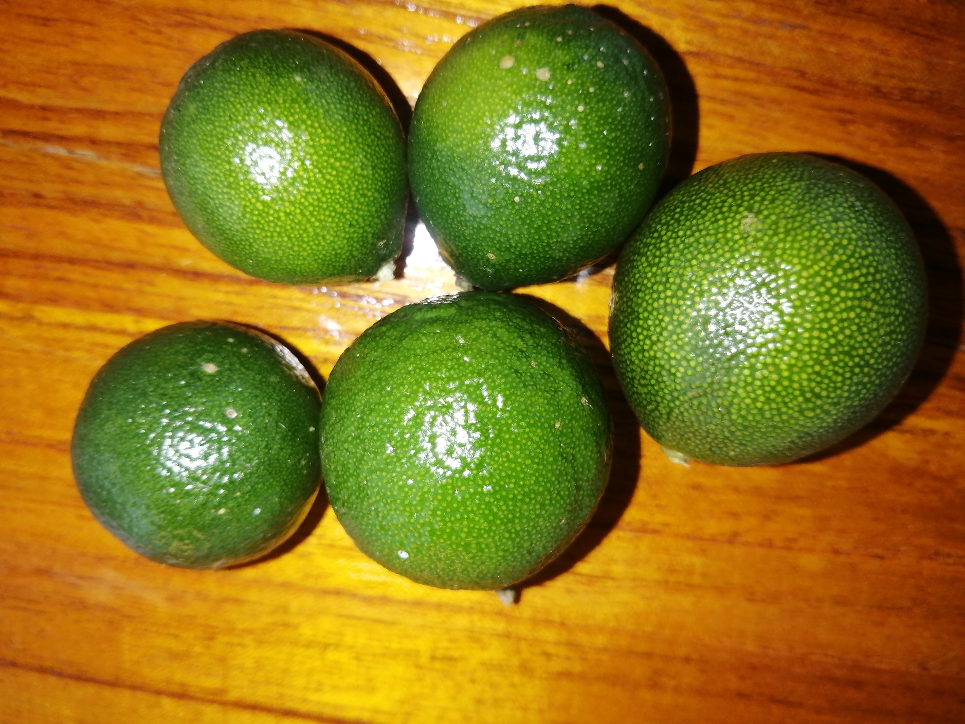 脆皮金柑与金桔对比图