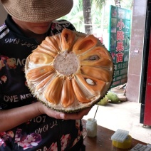 产地高品质(6号)红肉菠萝蜜直发