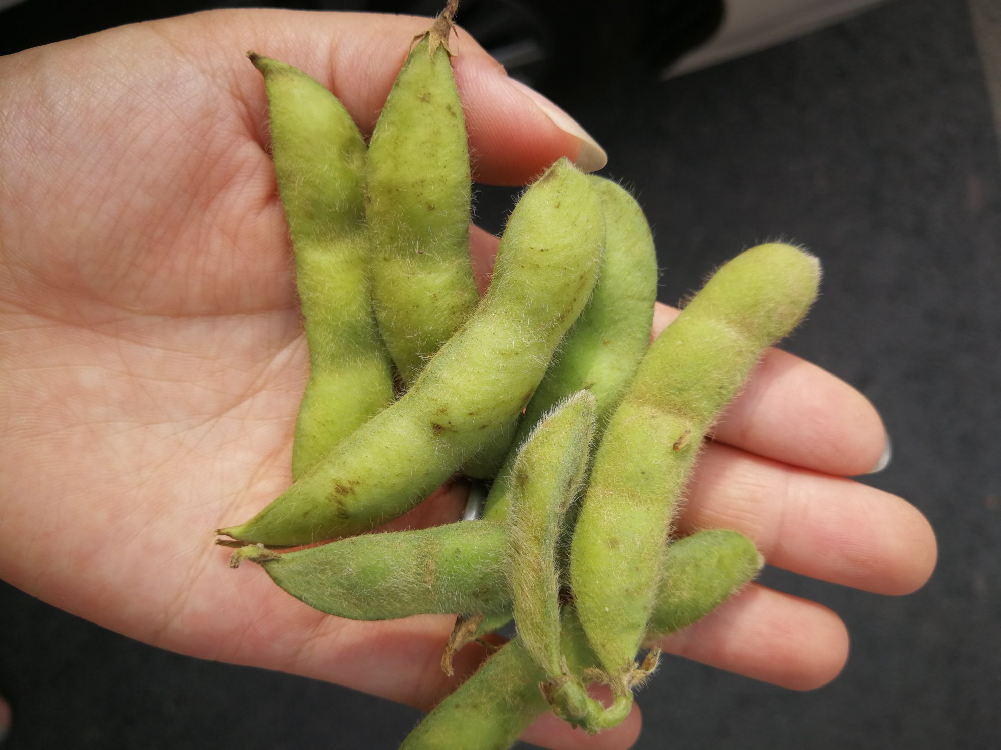 宝宝与父母一起享用健康辅食