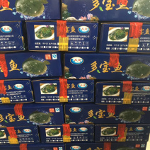 新鲜冷冻多宝鱼比目鱼单冻整条鯪鱼大鯪鲆鱼