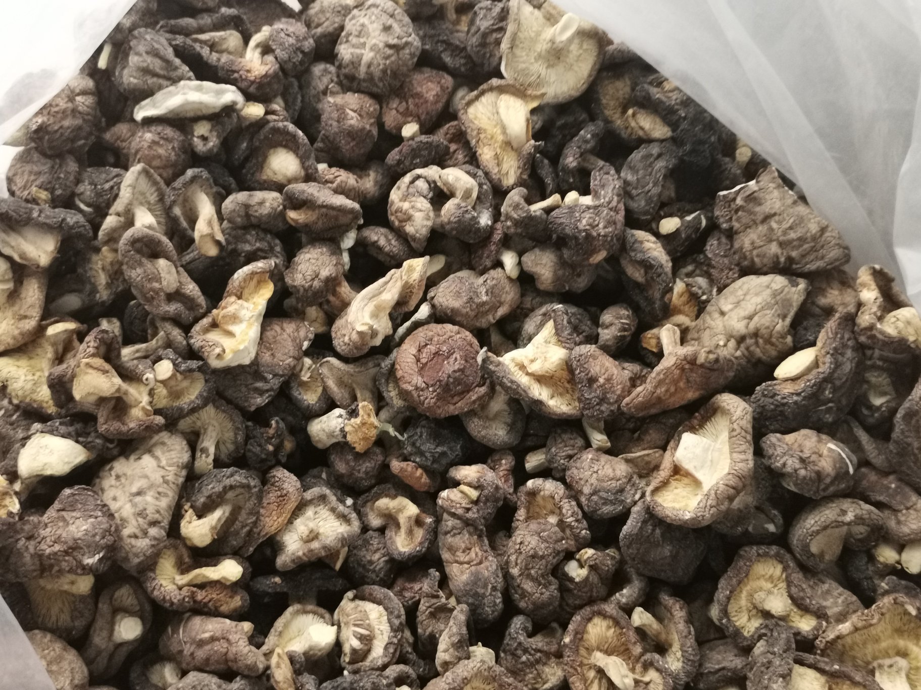 干香菇与鲜香菇对比图