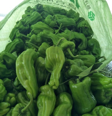 [泡椒批发]薄皮泡椒价格0.80元/斤 - 一亩田