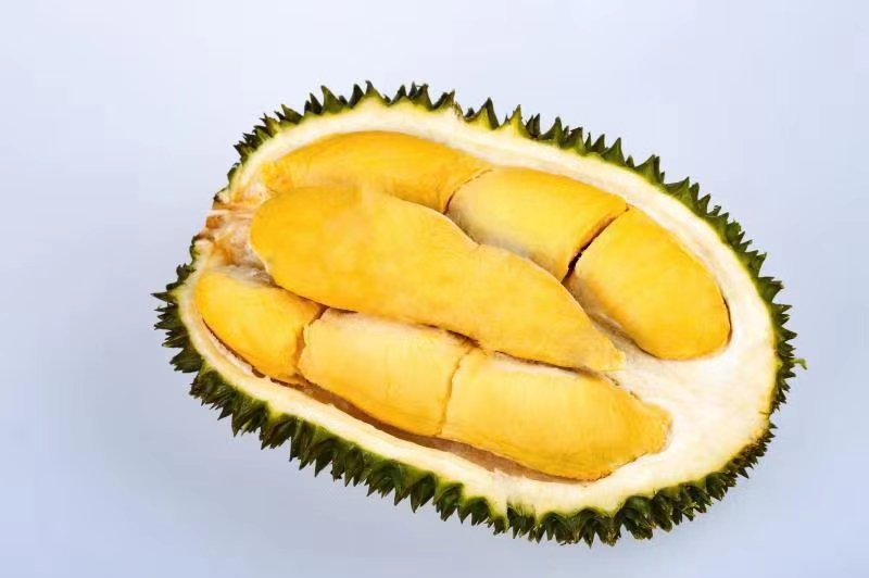 金枕头榴莲与多种榴莲品种对比摆放