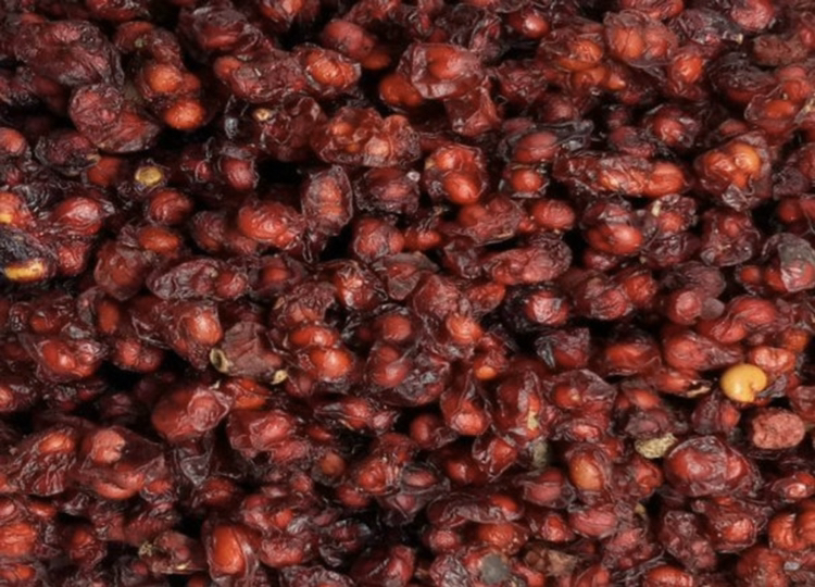 北五味子与南五味子对比展示,突出北五味子颜色更深、果实更饱满的特点 北五味子与南五味子对比图