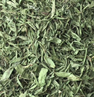 [甜叶菊批发]甜叶菊【包邮】三斤起发货 可批量可零售量大从优价格19.