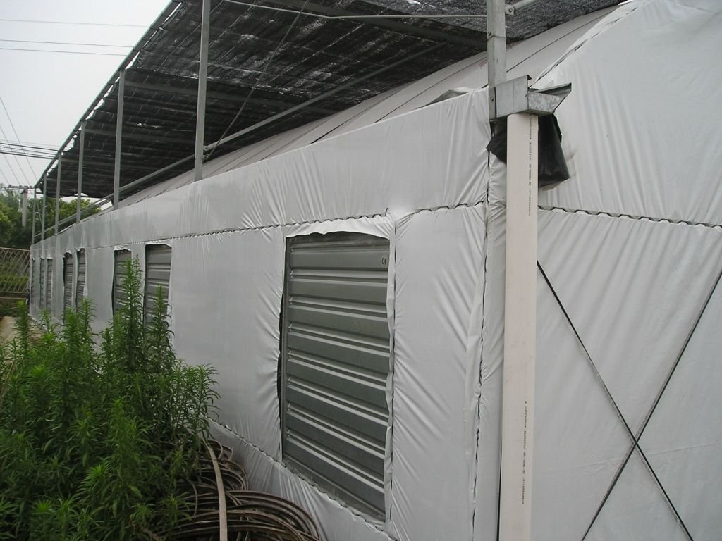 南方桃园避雨棚建设示意图,展示防雨结构与通风设计 桃园避雨棚建设示意图