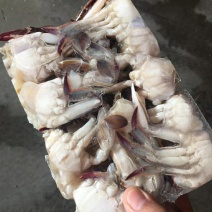 梭子蟹梭子蟹块鲜活速冻梭子蟹块爆炒蟹块香辣蟹块