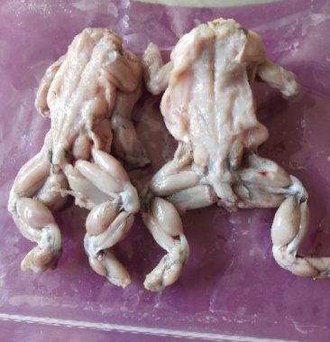 蟾蜍肉癞蛤蟆肉新鲜速冻蟾蜍肉癞蛤蟆肉熏拉丝批发零售