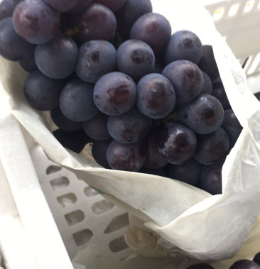 夏黑葡萄已经上市了,甜度高颗粒饱满