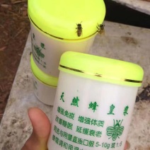 原生态蜂王浆一件代发包邮