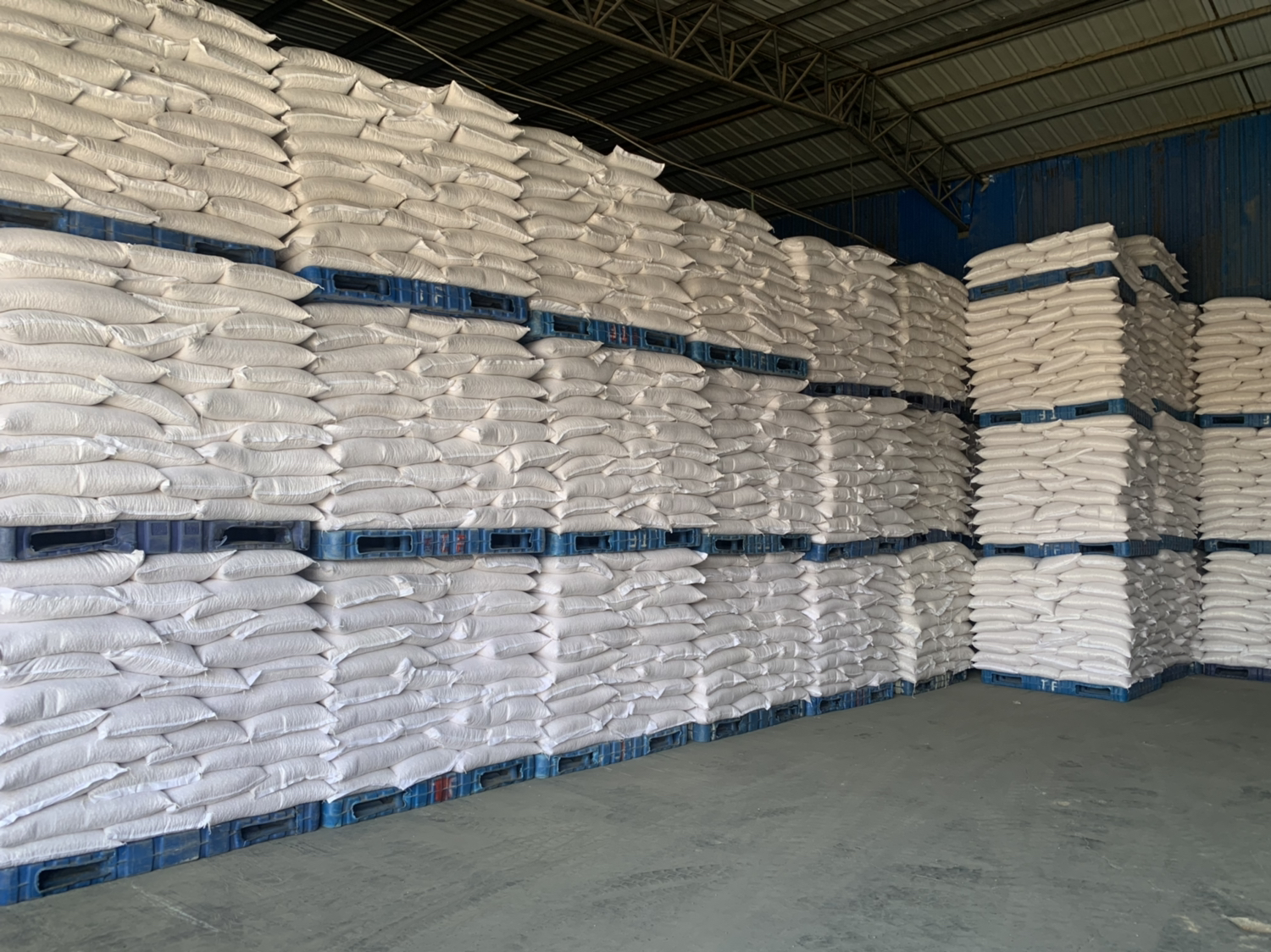 老来少芸豆高原地区地窖储藏图