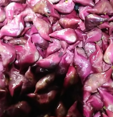 [菱角批发]新鲜红菱角价格6.00元/斤 - 一亩田