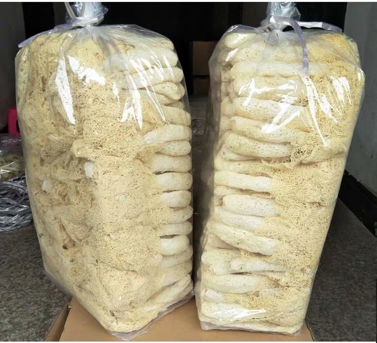 三包不同品牌的长裙竹荪干品并列摆放,标签清晰可见产地信息,其中一包打开展示内部完整菌体结构,背景为竹林生态标识牌,强调原产地溯源与品质保障 长裙竹荪干品包装与对比图